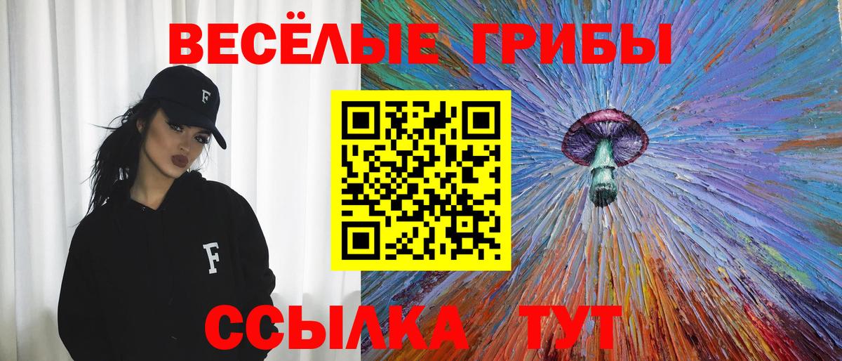 Галлюциногенные грибы мухоморы  Вход с VPN  Георгиевск 
