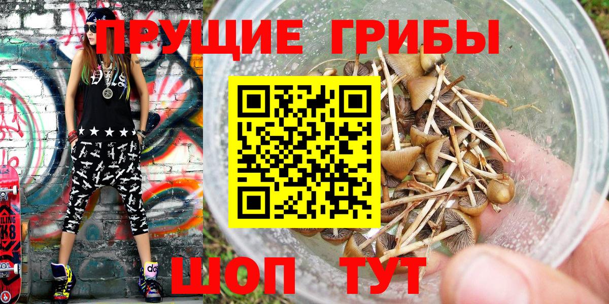 Галлюциногенные грибы мухоморы Георгиевск